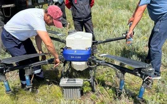 Ақтөбеде 424 мың гектар алқапта шегірткеға қарсы өңдеу жұмыстары жүргізіліп жатыр