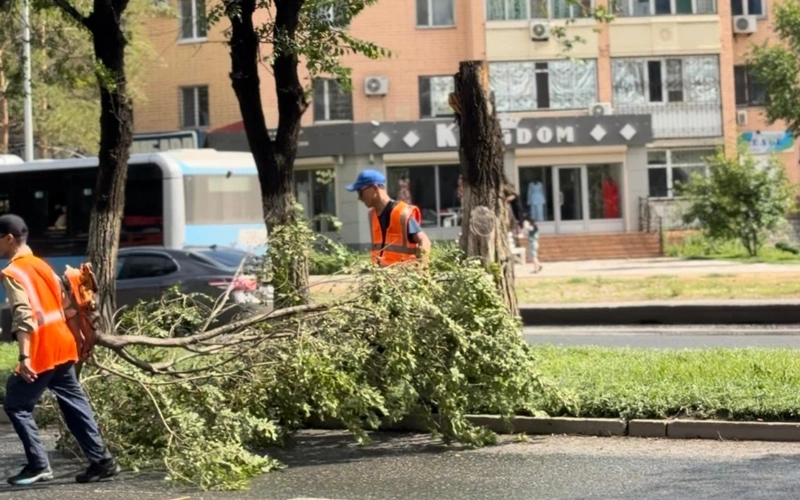 а