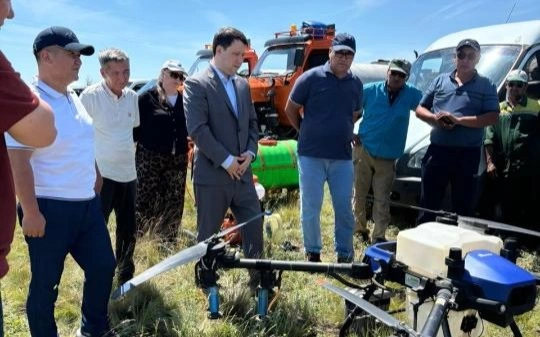 Ақтөбеде 424 мың гектар алқапта шегірткеға қарсы өңдеу жұмыстары жүргізіліп жатыр