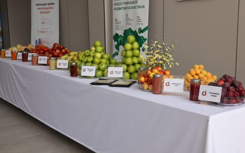 Kazakhstan&rsquo;s Almaty region launches vegetable processing plant