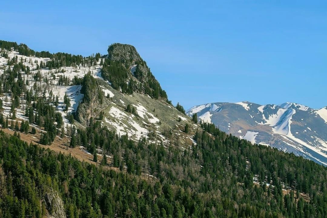 走进西阿尔泰自然保护区：珍稀物种与高山生态系统的守护地
