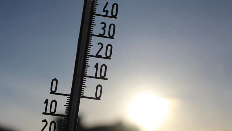 Heatwave, heat, Europe