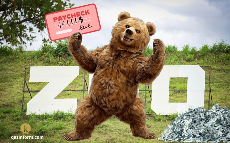 Bear, Chinese zoo, paycheck