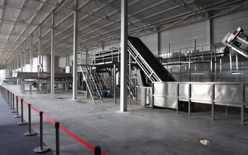 Kazakhstan&rsquo;s Almaty region launches vegetable processing plant