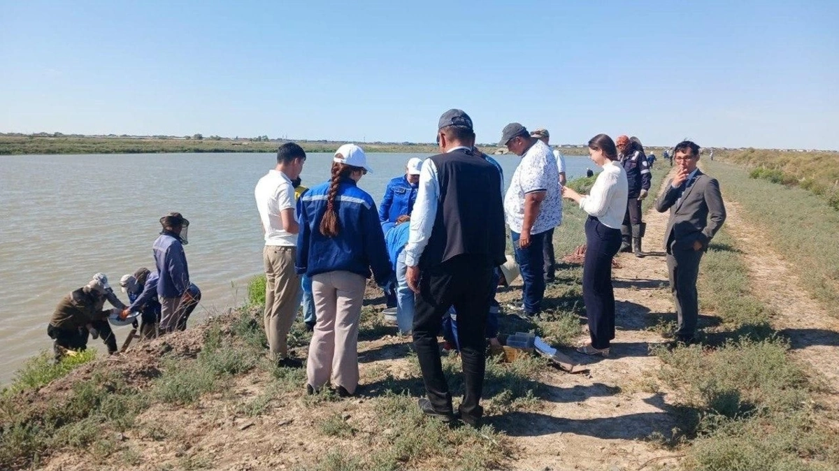 Бекіре қорын сақтау үшін Жайыққа миллионнан астам шабақ жіберілді