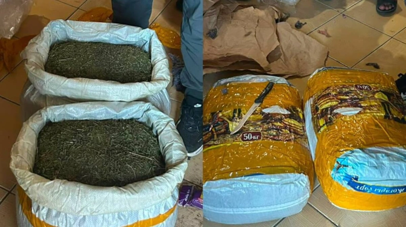 Около 20 кг марихуаны изъяли в ходе спецоперации в Актау