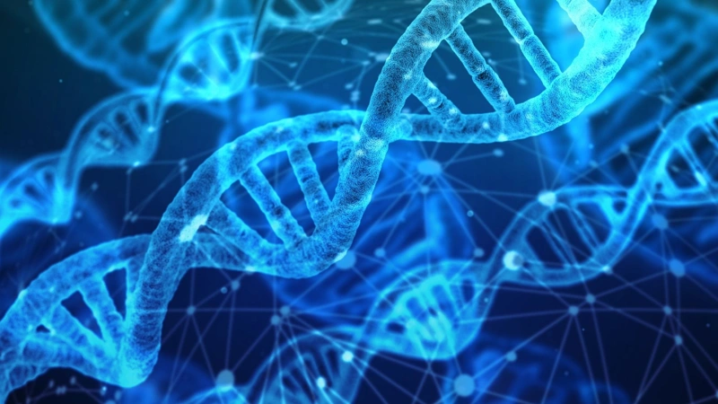 Science, DNA, Japan