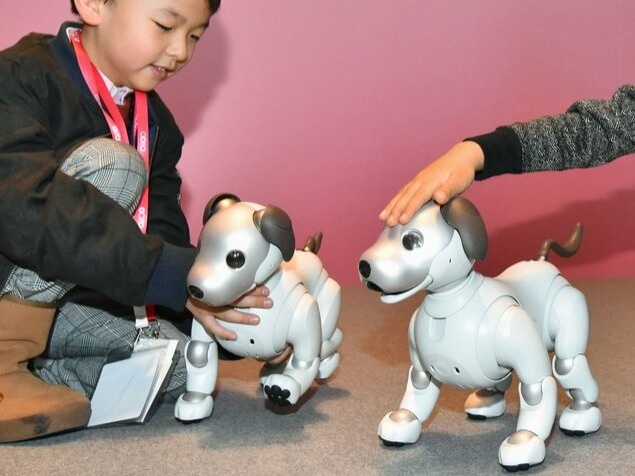 Sony to halt aibo robot sales in Japan 