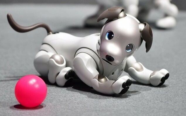 Sony to halt aibo robot sales in Japan