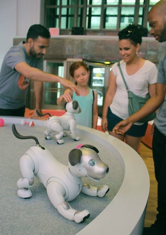 Sony to halt aibo robot sales in Japan 