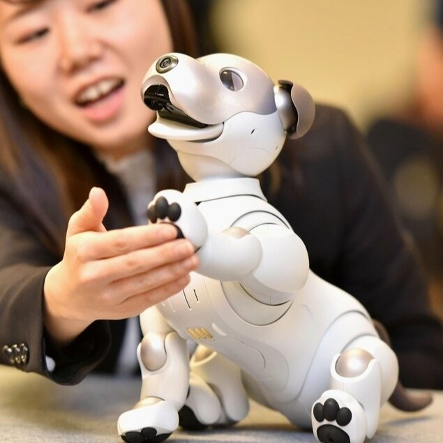 Sony to halt aibo robot sales in Japan 