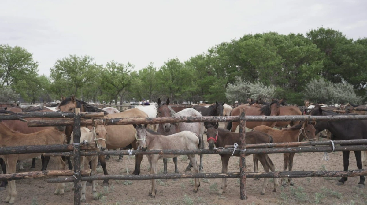 в