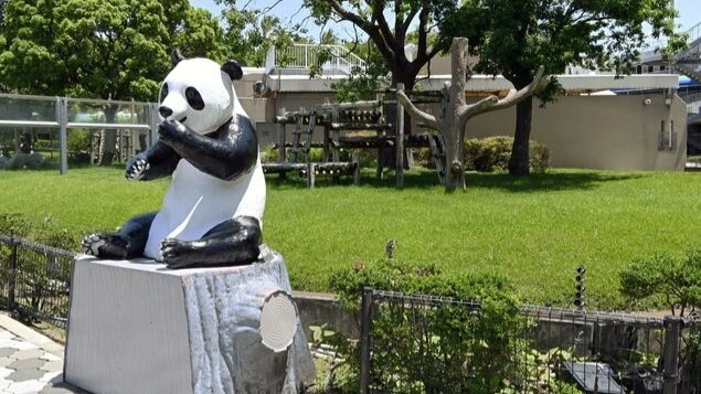 Japan's resort town Shirahama seeks new tourist draw after panda departure