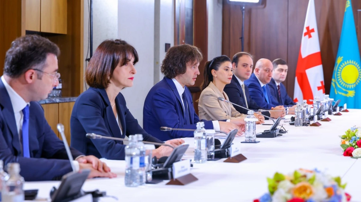 Қазақстан мен Грузия жасанды интеллект саласындағы әріптестікті күшейтпек