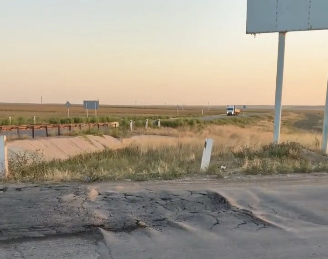 л