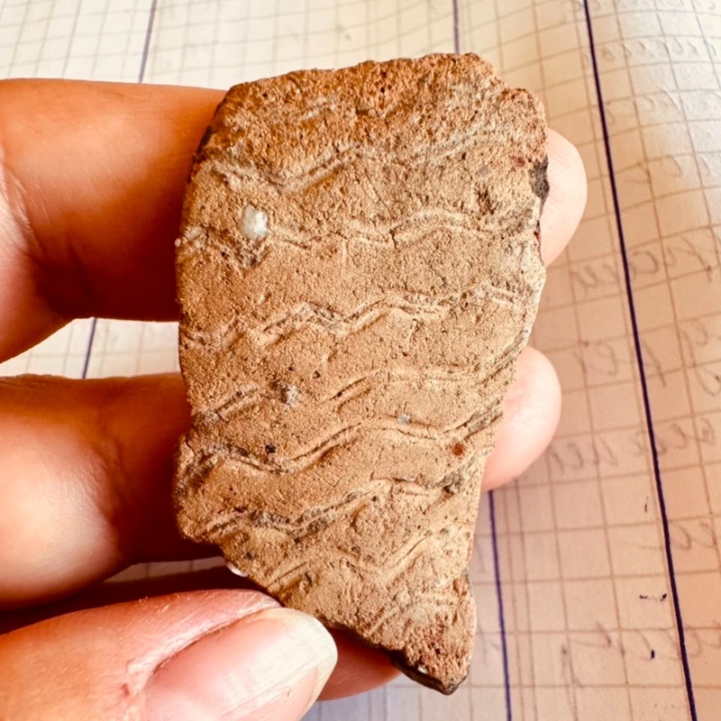 Rare 7,000-year-old burials discovered in Kazakhstan’s Kostanay region Rare 7,000-year-old burials discovered in Kazakhstan’s Kostanay region