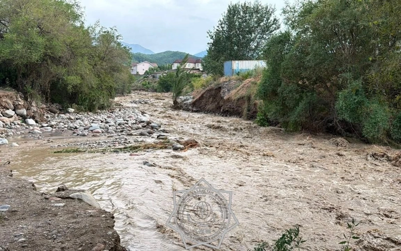 Угрозы схода селя и прорыва моренных озер в Алматы нет — МЧС