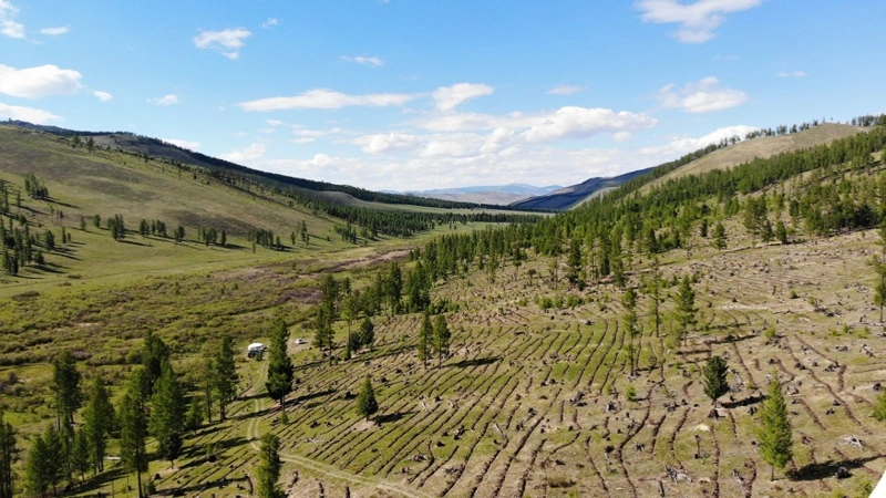 Mongolia intensifies its efforts to combat desertification, land degradation