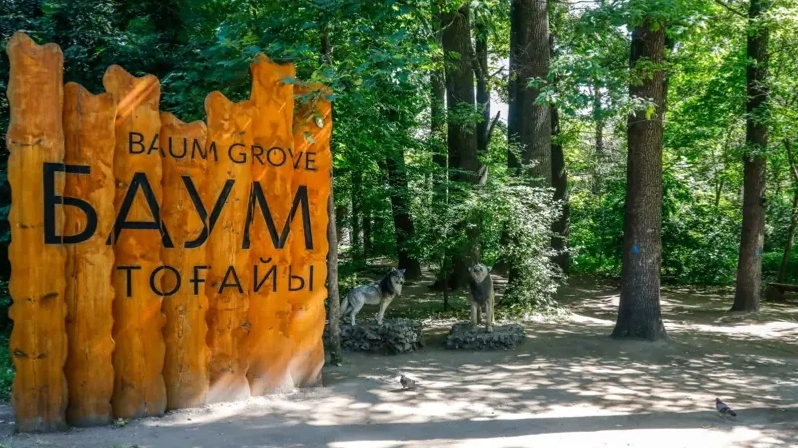 Роща Баума