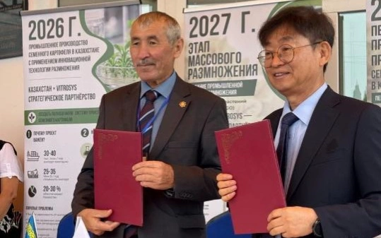 Первый проект по промышленному производству безвирусного семенного картофеля запускается в Казахстане