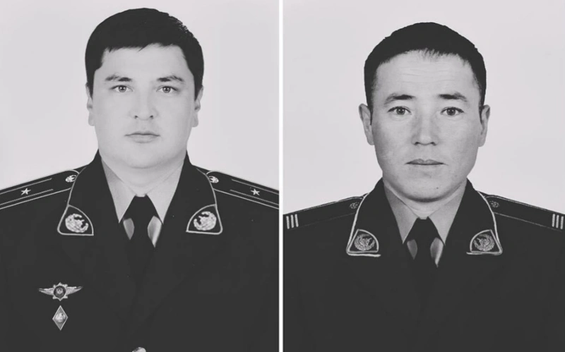 м
