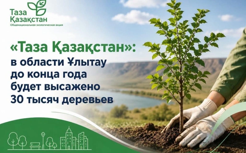 «Таза Қазақстан»: в области Улытау до конца года будет высажено 30 тысяч деревьев