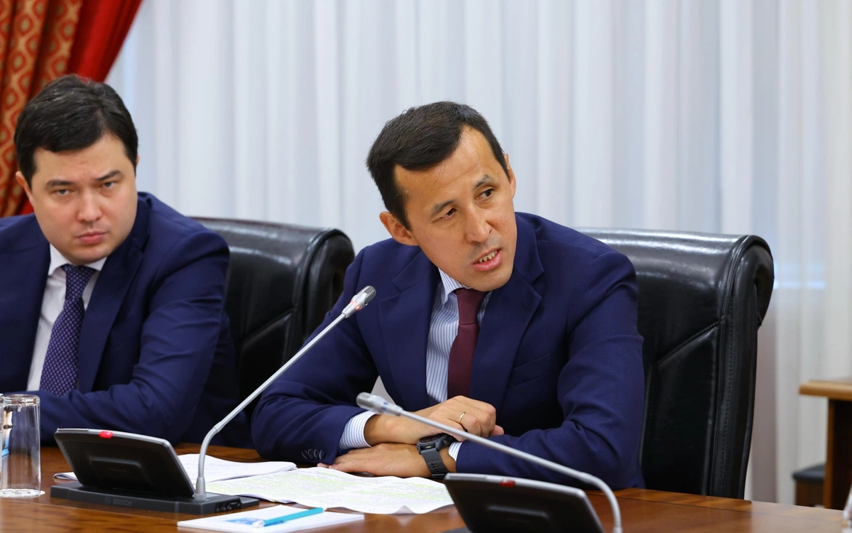 Вице-министр финансов Ержан Биржанов