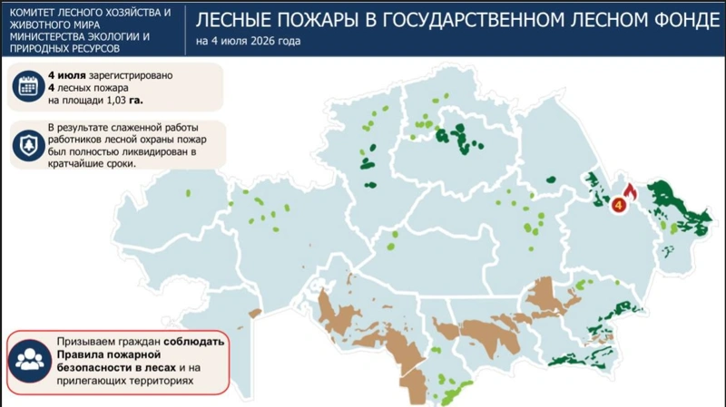 Четыре лесных пожара ликвидировали за день в резервате «Семей орманы»