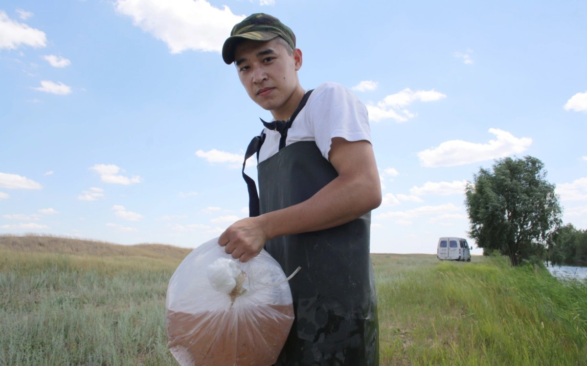 Судағы тіршілік иелерін зерттеудің маңызы зор &mdash; ғалым