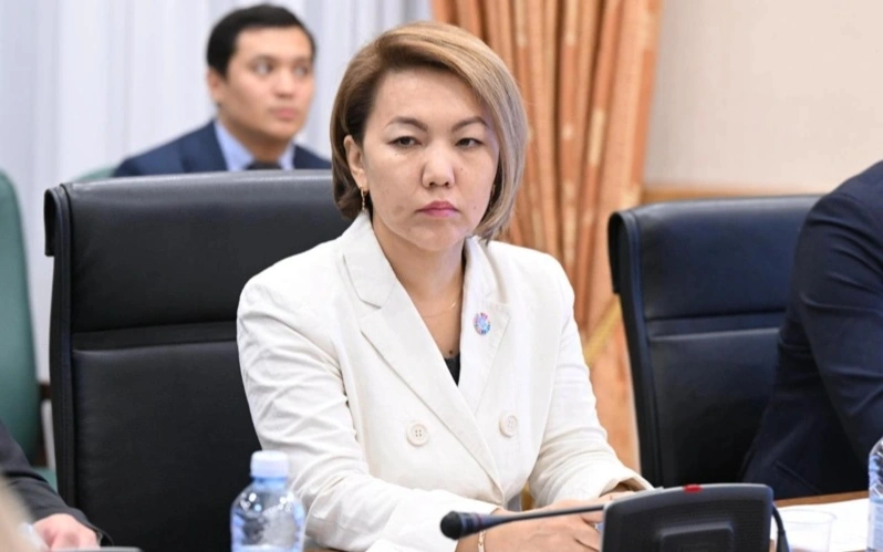 Жаңа Конституция мемлекеттік басқарудың жаңа кезеңіне жол ашты — сарапшы