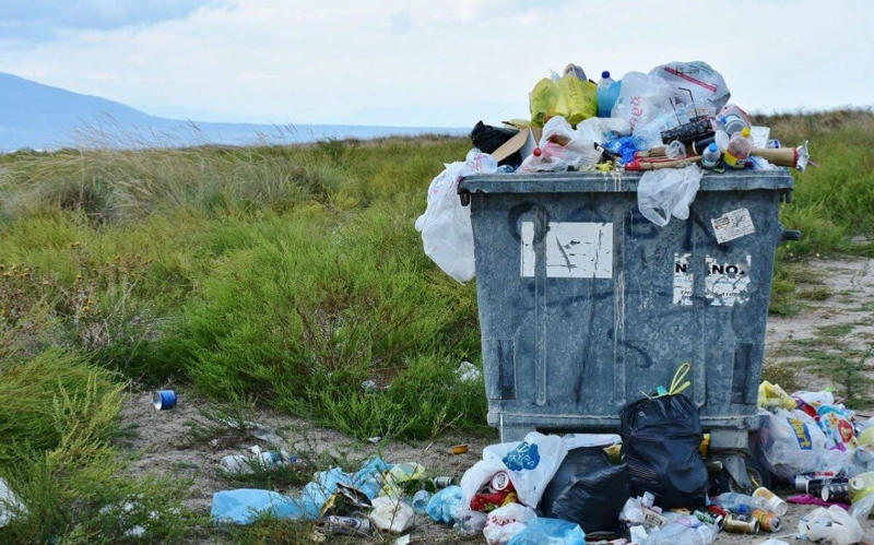 Абай облысында абаттандыру қағидаларын бұзудың 6 мыңнан астам дерегі тіркелді