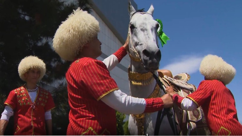 World Akhal-Teke Championship to showcase Turkmen heritage in Netherlands Akhal-Teke, Turkmenistan