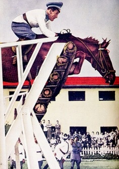 Aqzhan, Sampson, Huaso: Record-breaking horses that made history Horses