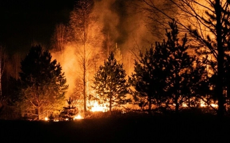 12 человек погибли при лесном пожаре в Испании