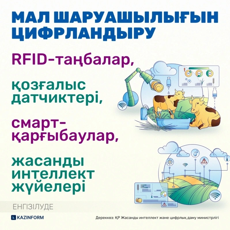 Что изменится для ветеринаров в Казахстане: зарплаты, обучение и цифровые технологии