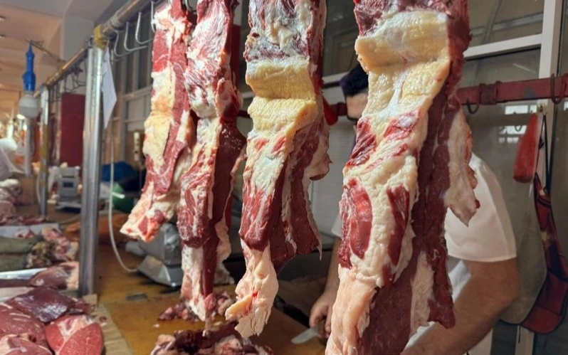 上半年肉类产量同比增长5.3%