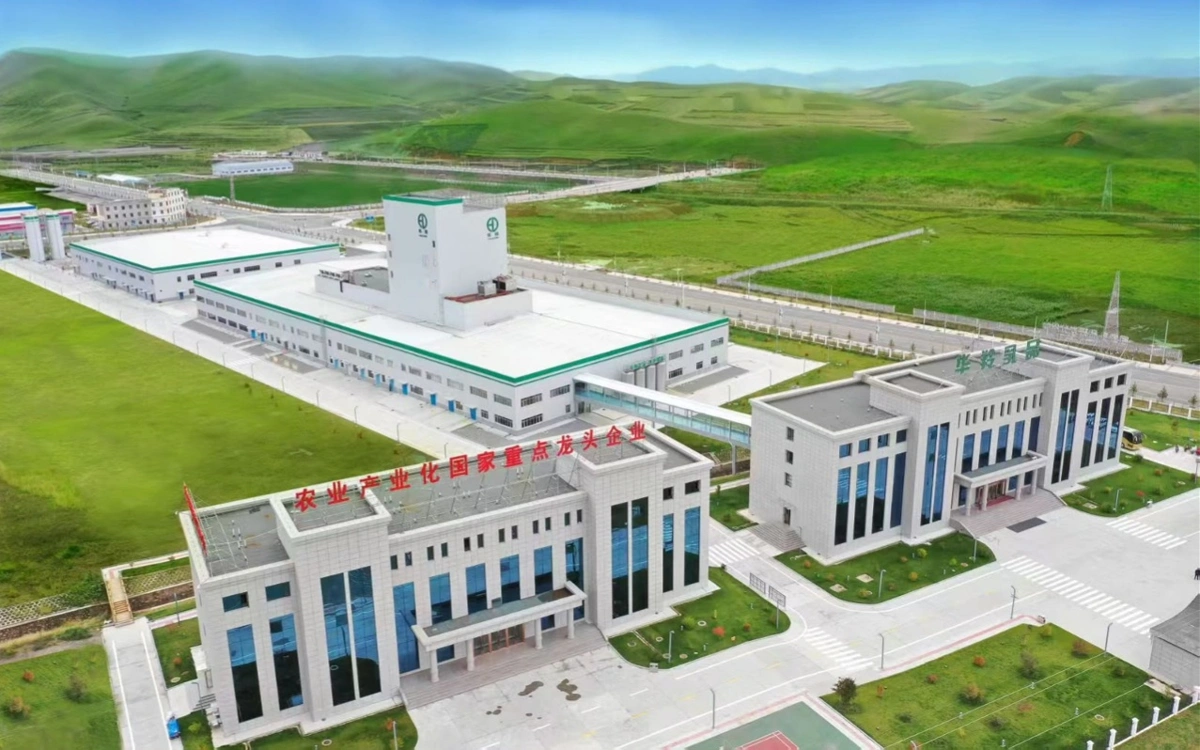 Сарлық сүтін өндіретін қытайлық компания Қазақстан нарығына келуі мүмкін 