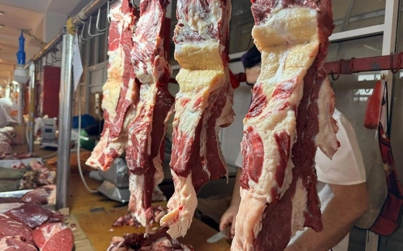 Kazakhstan's meat production rises 5.3% in first half of 2026