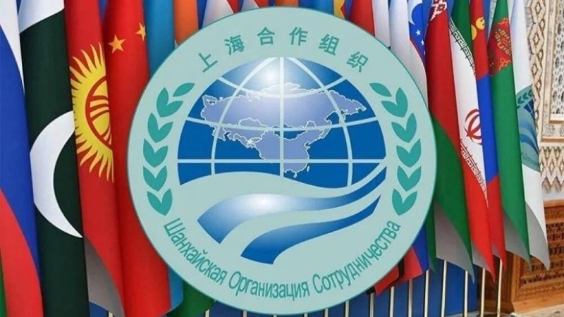 SCO nations to boost green energy cooperation