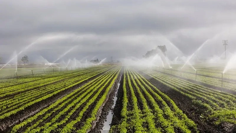 Kazakhstan allocates nearly 6 bcm of water for irrigation since start of growing season
