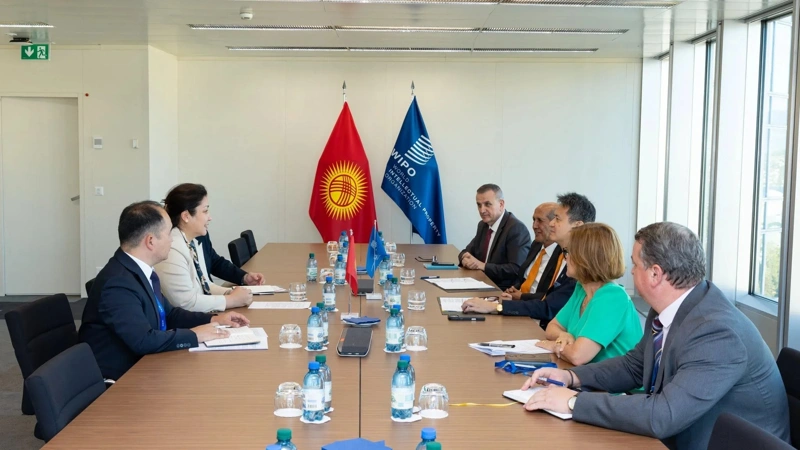 Kyrgyzstan, WIPO discuss expanding cooperation on intellectual property