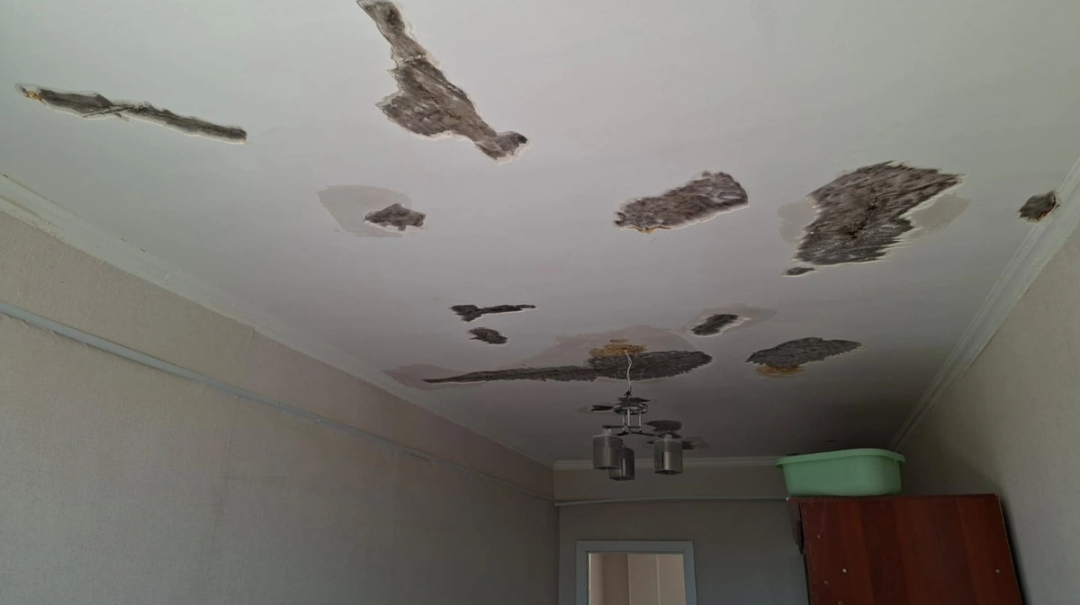 Түркістанда көпбалалы аналарға берілген үйдің төбесінен су ағып жатыр 