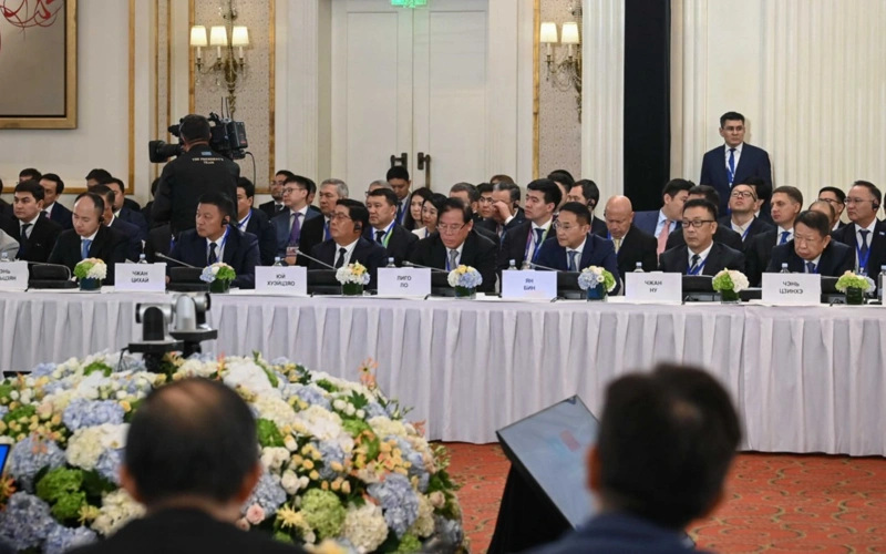 Президент: Қазақстан қытайлық инвесторлар үшін әрдайым қолайлы бизнес орта жасауға дайын 