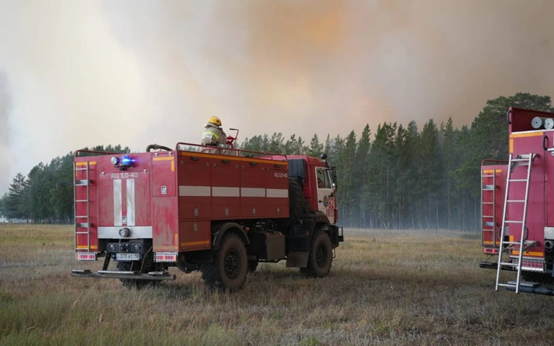 Площадь лесного пожара в области Абай выросла до 60 гектаров