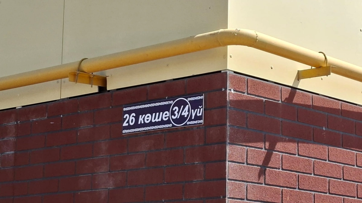 Түркістанда көпбалалы аналарға берілген үйдің төбесінен су ағып жатыр 