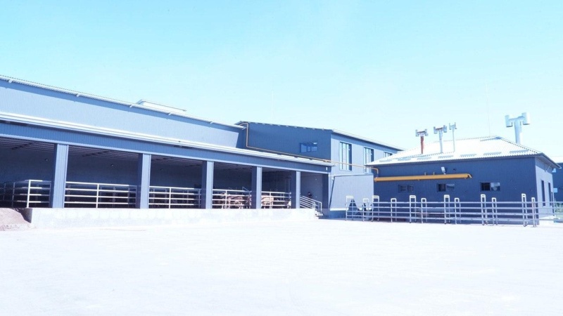 Livestock industry set to become a key pillar of Kazakhstan's agricultural growth – Minister Livestock industry set to become a key pillar of Kazakhstan's agricultural growth – Minister