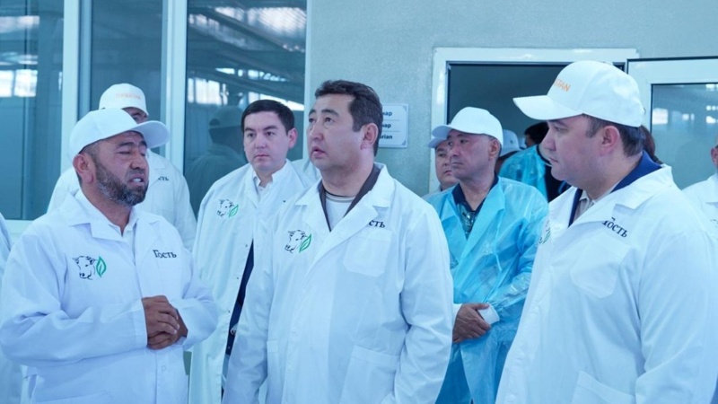 Livestock industry set to become a key pillar of Kazakhstan's agricultural growth – Minister Livestock industry set to become a key pillar of Kazakhstan's agricultural growth – Minister