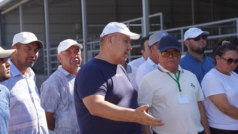 Livestock industry set to become a key pillar of Kazakhstan's agricultural growth – Minister Livestock industry set to become a key pillar of Kazakhstan's agricultural growth – Minister