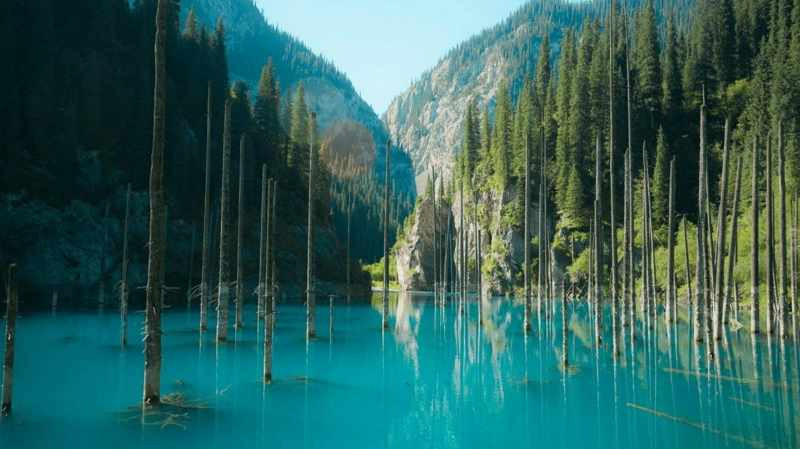 в