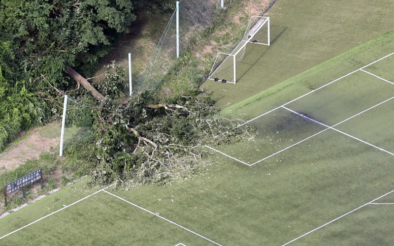 20-meter tree falls at soccer match in Japan, injuring seven